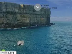 Sites similar to jervisbaywild.com.au