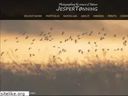 Sites similar to jespertonning.com