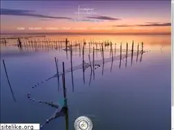 Sites similar to jesusmgarcia.es
