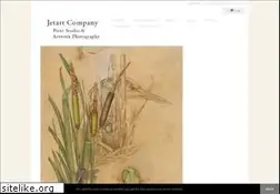 Sites similar to jetart.biz