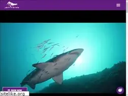 Sites similar to jettydive.com.au
