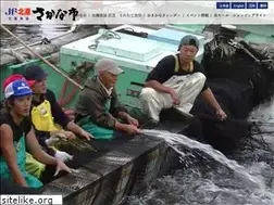 Sites similar to jf-kitanada.com