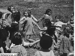 Sites similar to jfc.org.il