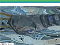 Sites similar to jfej.org
