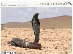 Sites similar to jgallego-photography.com