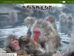 Sites similar to jigokudani-yaenkoen.co.jp
