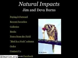 Sites similar to jimburnsphotos.com