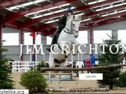 Sites similar to jimcrichton.com
