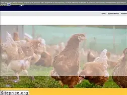 Sites similar to jimenezrosales.es