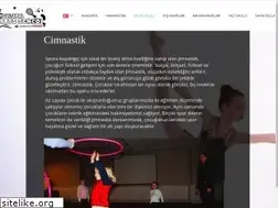 Sites similar to jimnastikkursu.com
