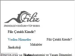 Sites similar to jinekoloji.gen.tr