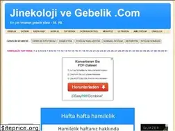 Sites similar to jinekolojivegebelik.com