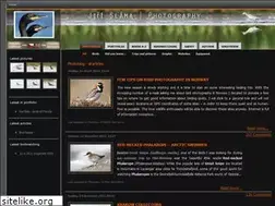 Sites similar to jirislama.com