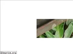 Sites similar to jjrrarquitectura.com