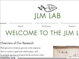 Sites similar to jlmlab.com