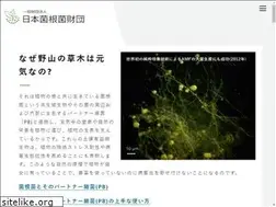 Sites similar to jmff.jp
