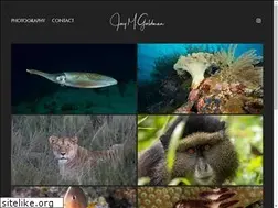 Sites similar to jmgoldman.com
