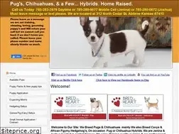 Sites similar to jnjpugsnpaps.com