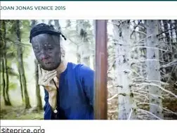 Sites similar to joanjonasvenice2015.com
