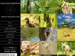 Sites similar to jodyceleste.com
