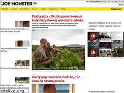 Sites similar to joe.pl