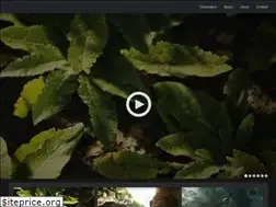 Sites similar to joegarth.com