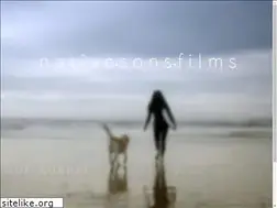 Sites similar to joemurrayfilms.com