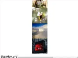 Sites similar to joeyd.com