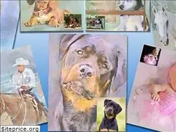 Sites similar to joeysgallery.com