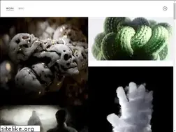 Sites similar to johnkunz.com