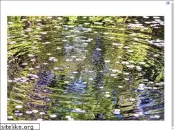 Sites similar to johnmazlishfineart.com