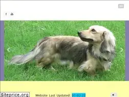 Sites similar to jojacdachshunds.com