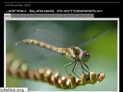Sites similar to jonahsurkesphotography.com