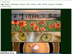 Sites similar to joopvanosch.nl