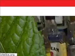 Sites similar to jordinellis.com
