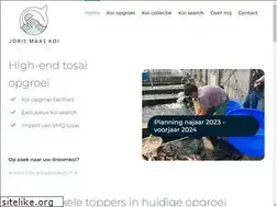 Sites similar to jorismaas.nl