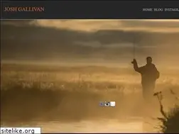 Sites similar to joshgallivan.com