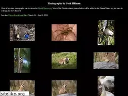 Sites similar to joshhillman.com