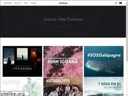 Sites similar to joshuavela.com