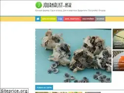 Sites similar to journalist-nsk.ru