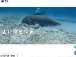 Sites similar to joytravel.com.tw