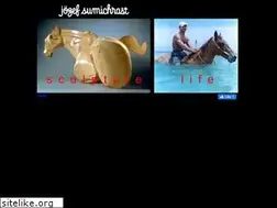 Sites similar to jozef.com