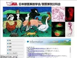 Sites similar to jpn-ava.com