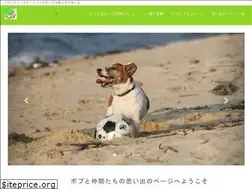 Sites similar to jrtbob.com