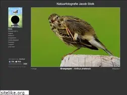 Sites similar to js-natuurfotos.nl