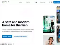 Sites similar to js.foundation
