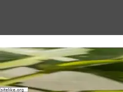 Sites similar to jshotels.com