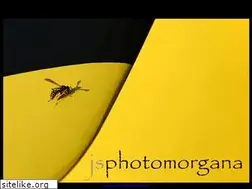 Sites similar to jsphotomorgana.com