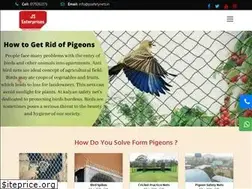 Sites similar to jssafetynets.in