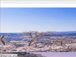 Sites similar to jtbgmt.com